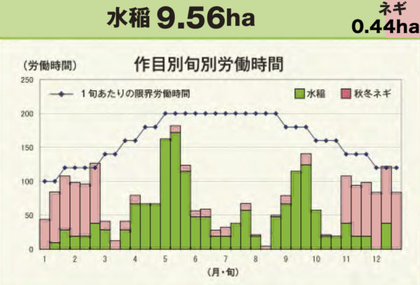 水稲・ネギ