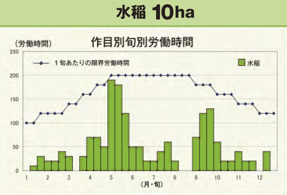 水稲