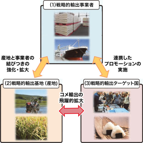 コメ海外市場拡大戦略プロジェクト