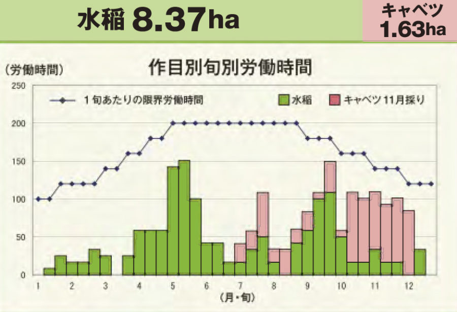 水稲・キャベツ