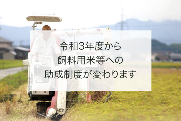 令和3年度から飼料用米等への助成制度が変わりますec