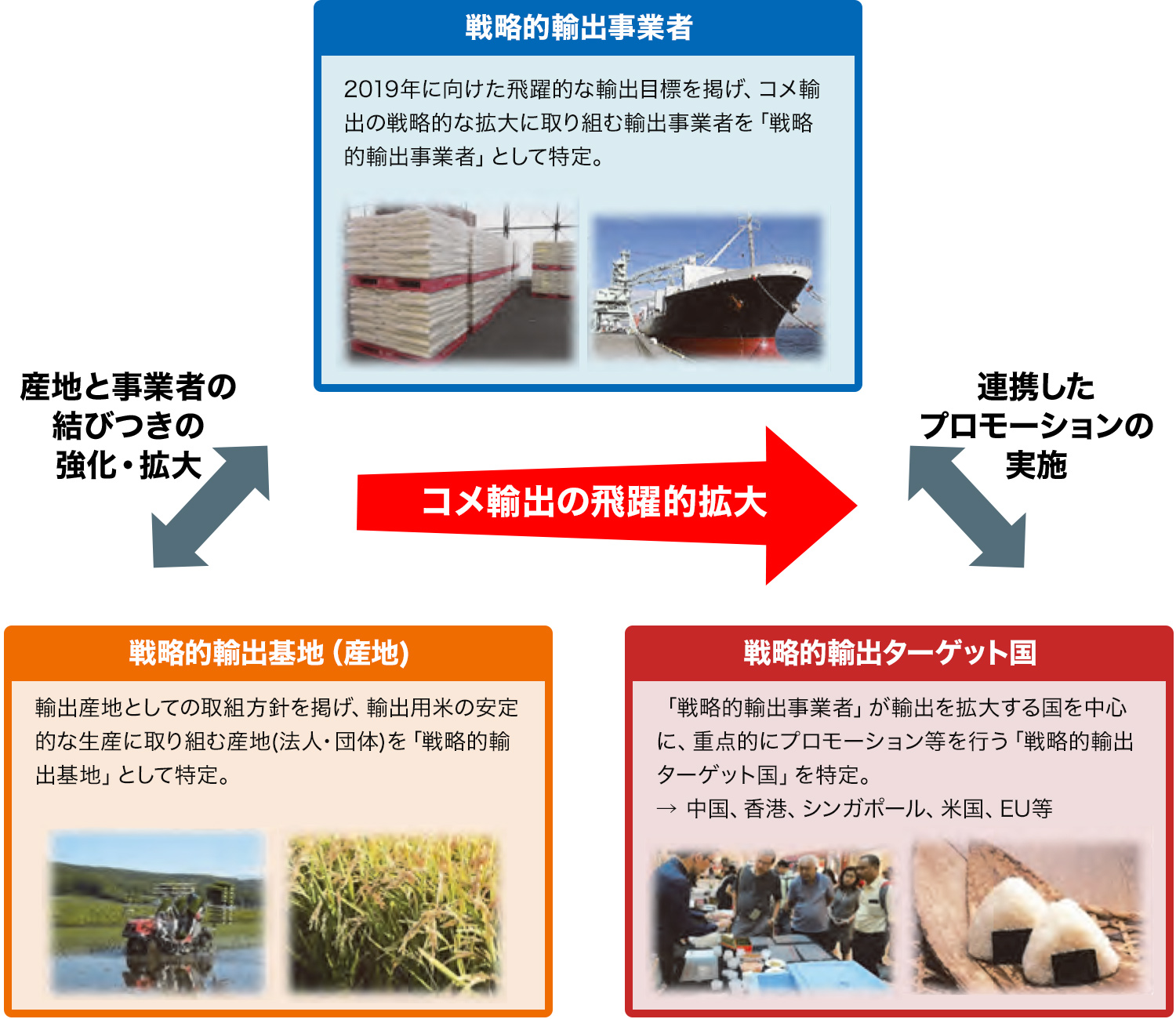 コメ海外市場拡大戦略プロジェクト