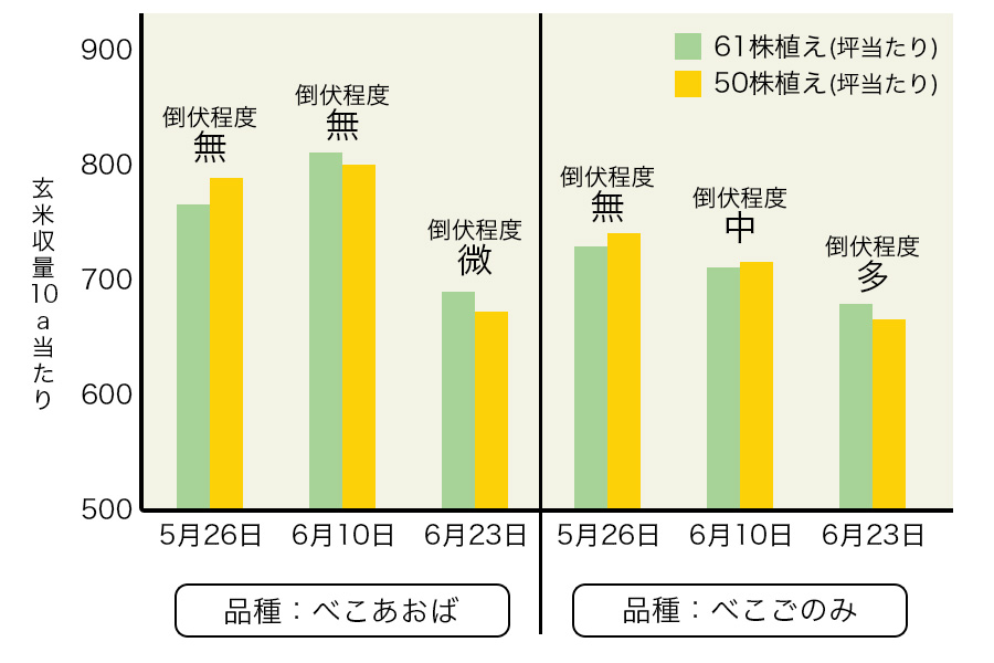 移植時期と収量・倒伏の関係