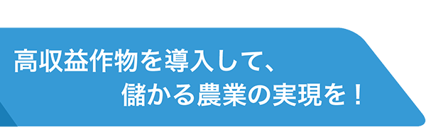 高収益作物を導入して、儲かる農業の実現を2