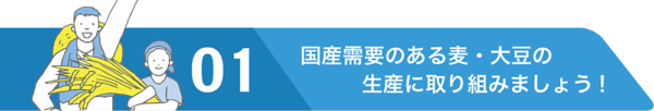 国産需要のある麦・大豆の生産に取り組みましょう