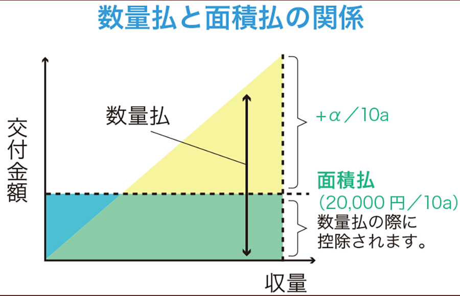 1グラフ