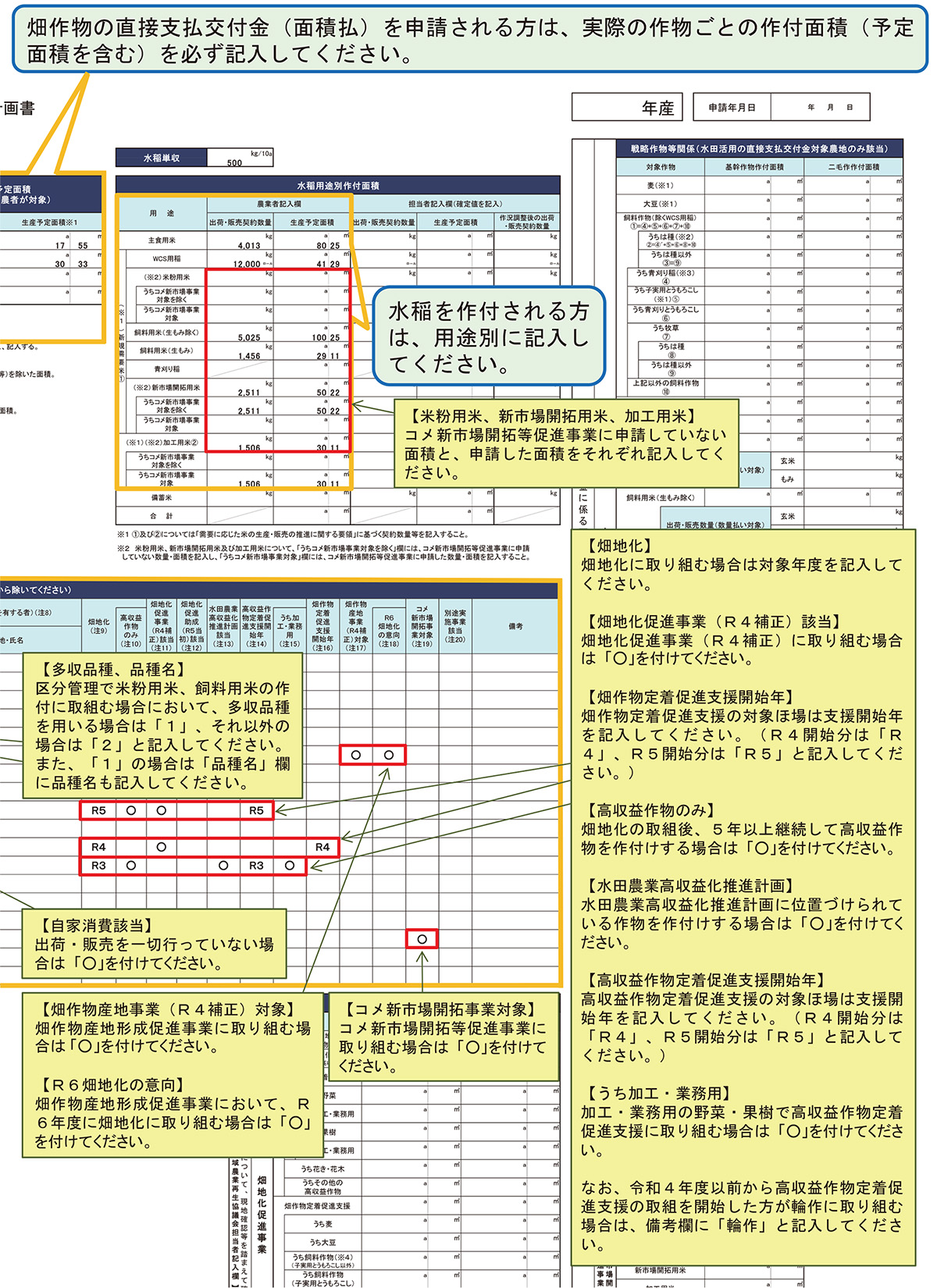 様式第2号(右面)