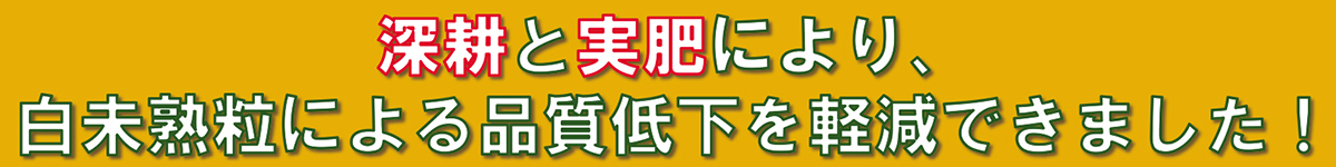 深耕と実肥により、白未熟粒による品質低下を軽減できました