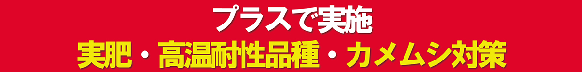 プラスで実施 実肥・高温耐性品種・カメムシ対策