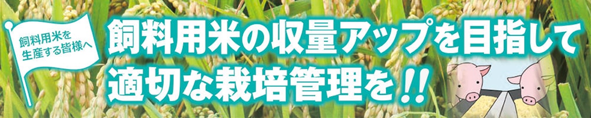 飼料用米の収量アップを目指して 適切な栽培管理を